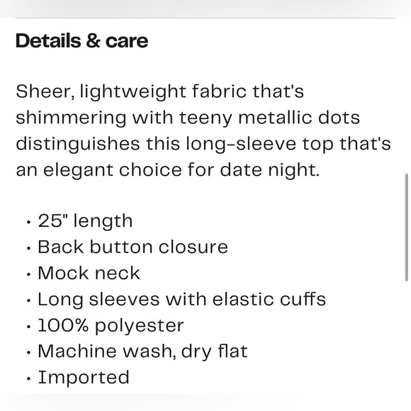 NWOT Sanctuary sheer Blouse. Ladies Small - Picture 4 of 13